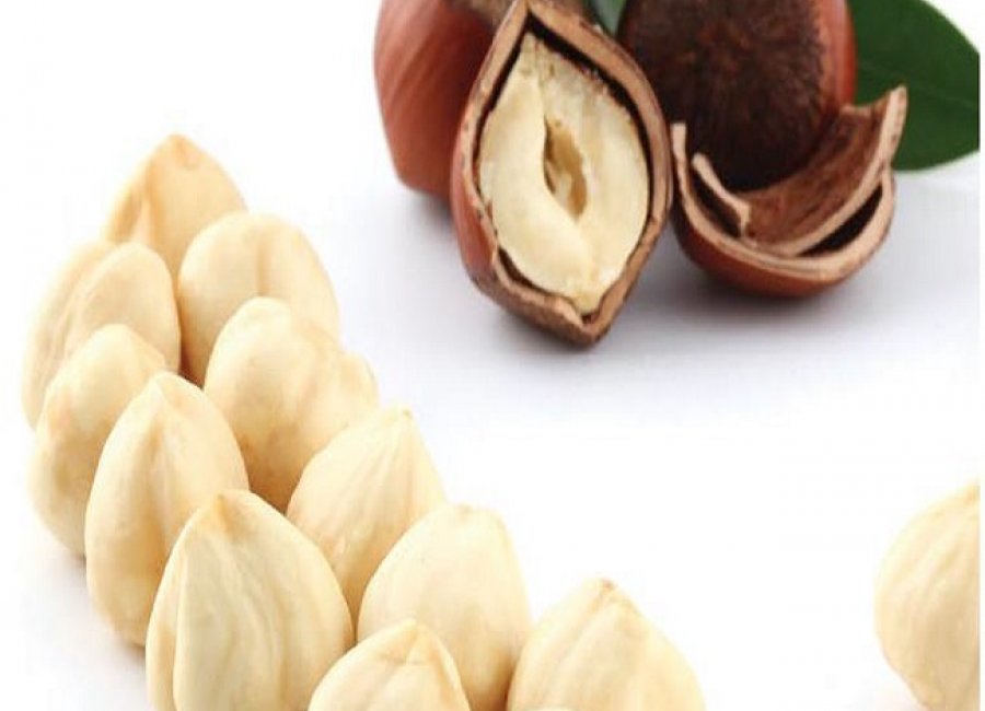 HABBATURKI: GLOBAL SUPPLIERS OF THE HIGHEST QUALITY NATURAL DRY FRUITS, NUTS AND INGREDIENTS